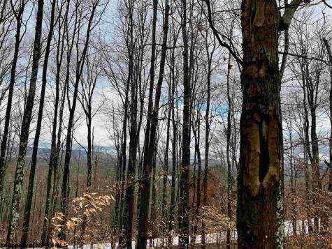 83 Hillside Drive Davis WV 26260