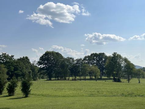 0 Dryfork Road Dryfork WV 26263