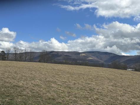 0 Dryfork Road Dryfork WV 26263