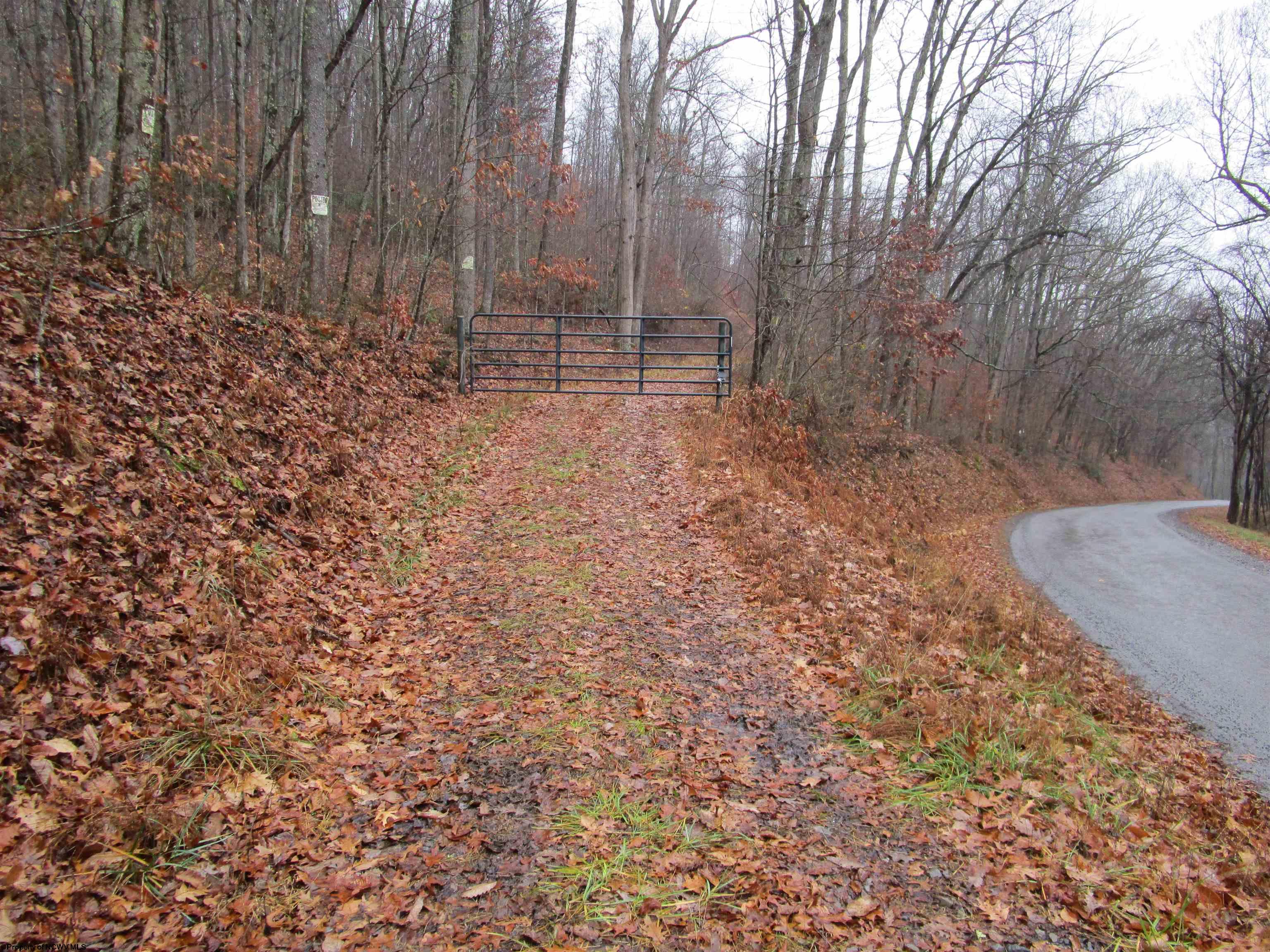 0 N Pheasant Mountain Road Kerens WV 26276-0010