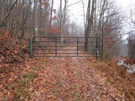 0 N Pheasant Mountain Road Kerens WV 26276-0010