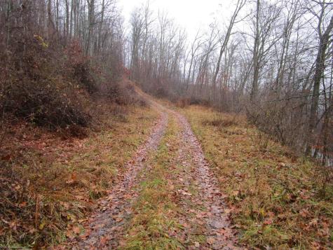0 N Pheasant Mountain Road Kerens WV 26276-0010