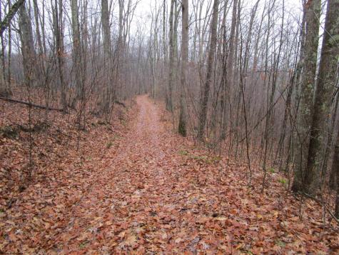 0 N Pheasant Mountain Road Kerens WV 26276-0010