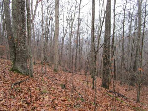 0 N Pheasant Mountain Road Kerens WV 26276-0010