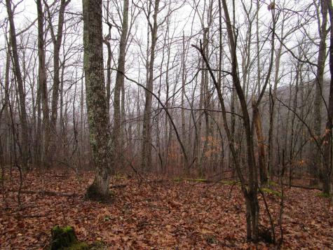 0 N Pheasant Mountain Road Kerens WV 26276-0010
