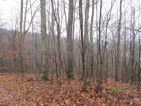 0 N Pheasant Mountain Road Kerens WV 26276-0010