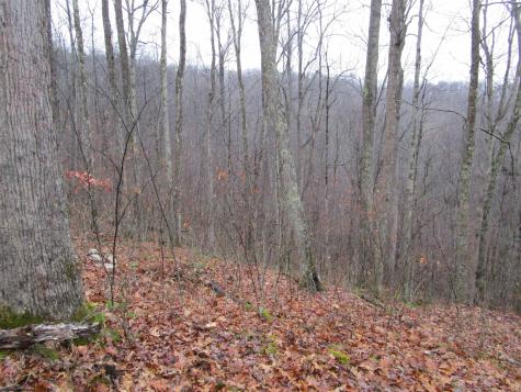 0 N Pheasant Mountain Road Kerens WV 26276-0010