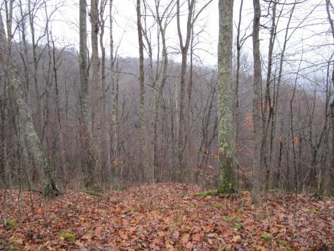 0 N Pheasant Mountain Road Kerens WV 26276-0010