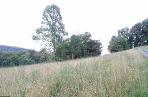 0 Lakeview Drive Grafton WV 26354