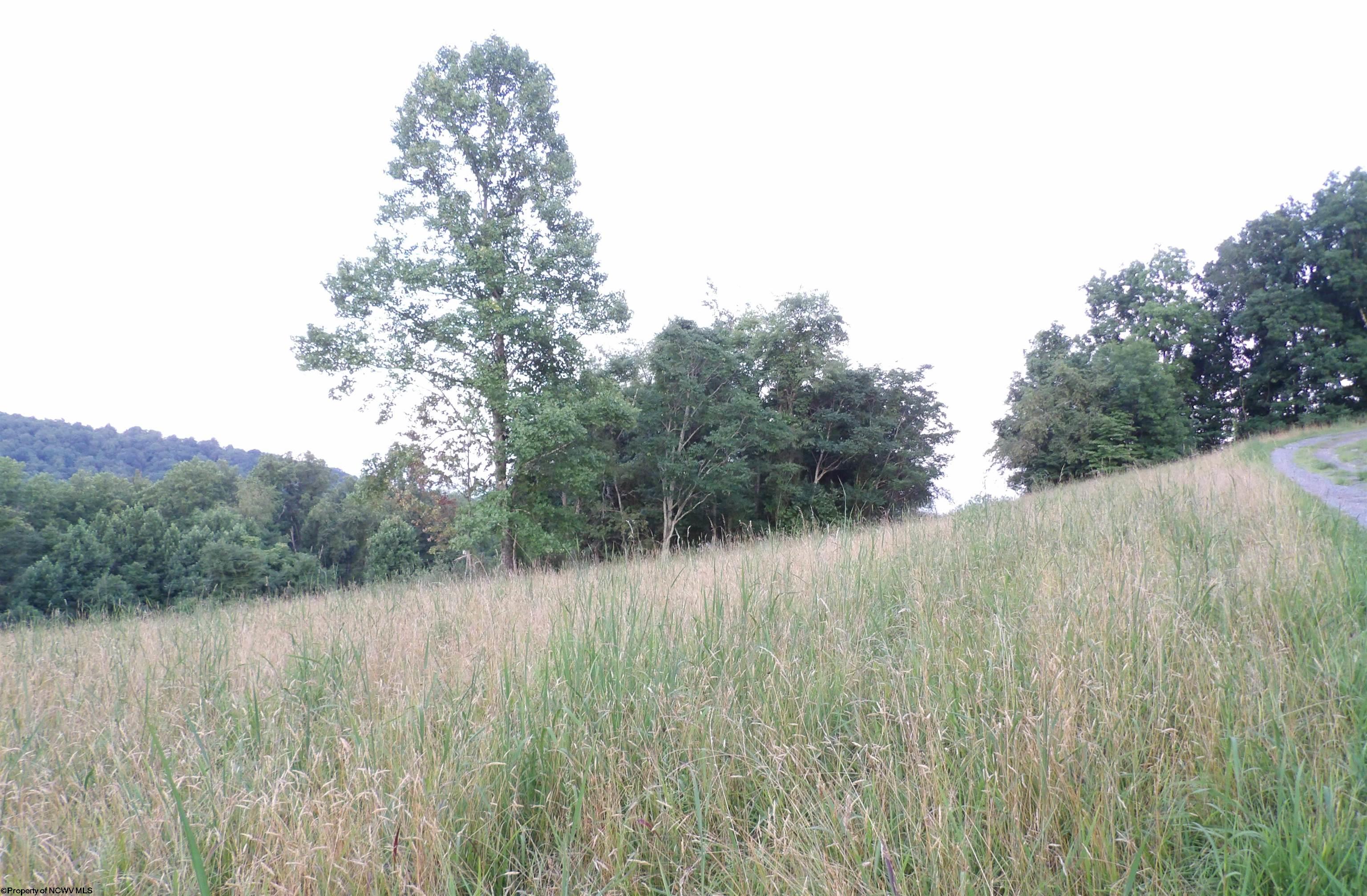 0 Lakeview Drive Grafton WV 26354