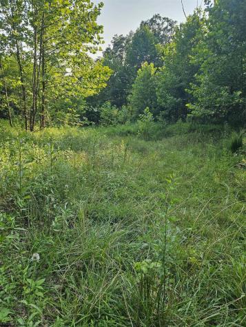 2 Westminster Drive Morgantown WV 26505