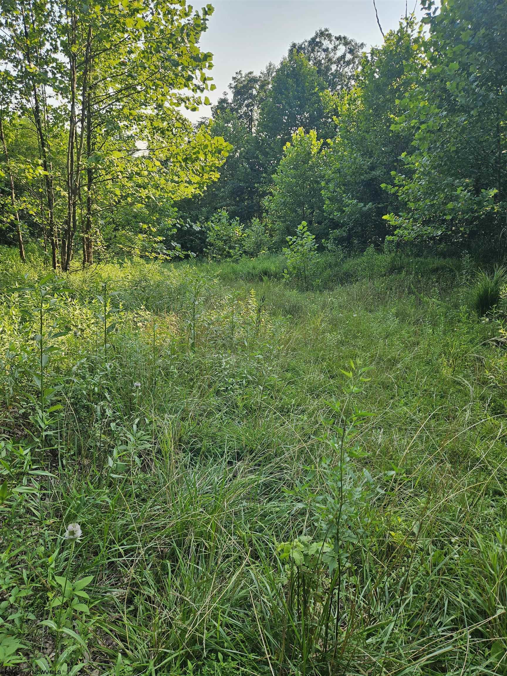 2 Westminster Drive Morgantown WV 26505