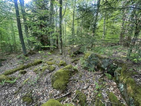 4 Tuscan Ridge Road Davis WV 26260