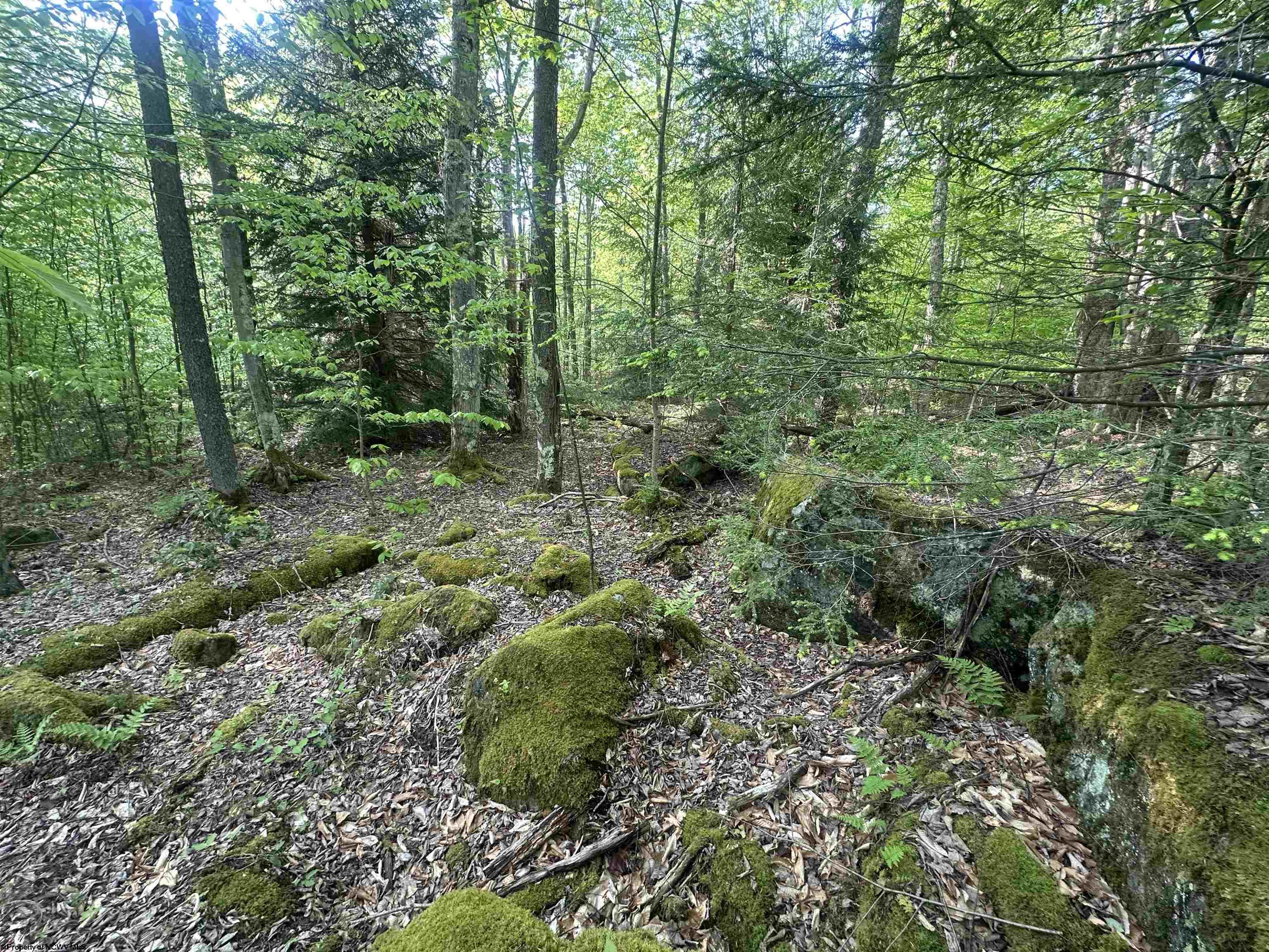 4 Tuscan Ridge Road Davis WV 26260