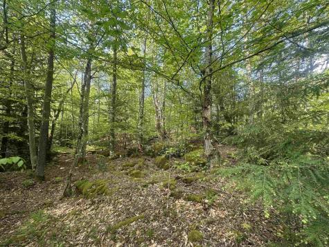 4 Tuscan Ridge Road Davis WV 26260