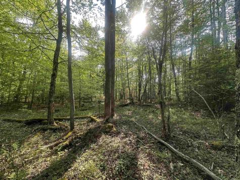 4 Tuscan Ridge Road Davis WV 26260