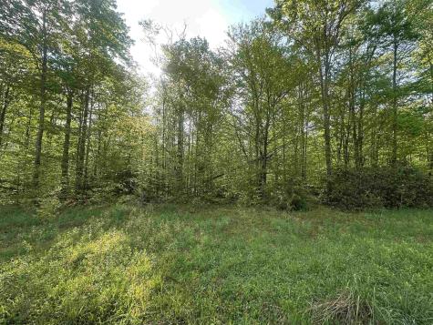 4 Tuscan Ridge Road Davis WV 26260