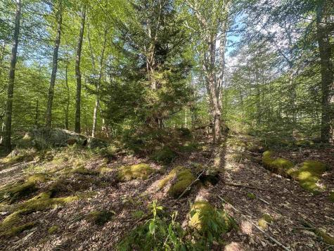 4 Tuscan Ridge Road Davis WV 26260