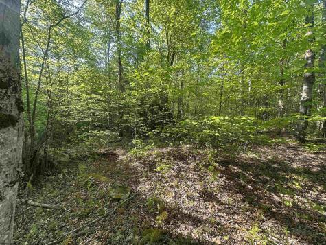 4 Tuscan Ridge Road Davis WV 26260