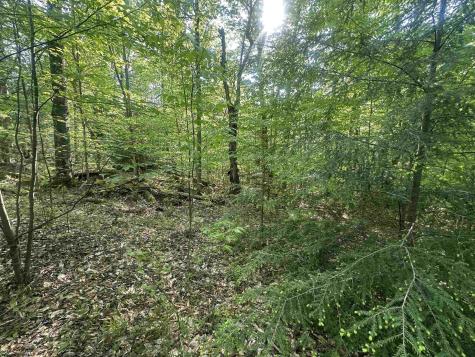 4 Tuscan Ridge Road Davis WV 26260