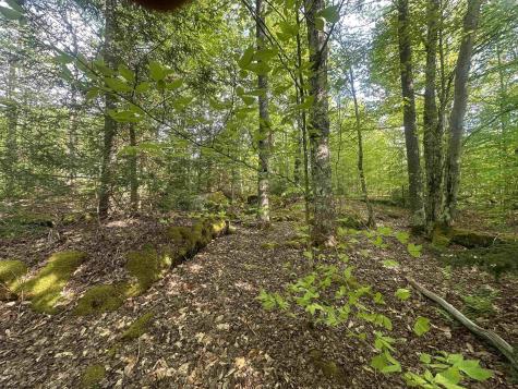 4 Tuscan Ridge Road Davis WV 26260