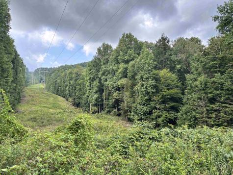 469 Karlan Road Pickens WV 26230