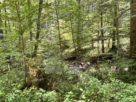 469 Karlan Road Pickens WV 26230