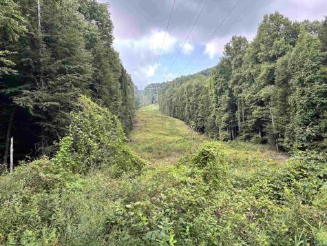 469 Karlan Road Pickens WV 26230
