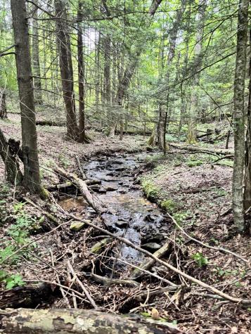 469 Karlan Road Pickens WV 26230