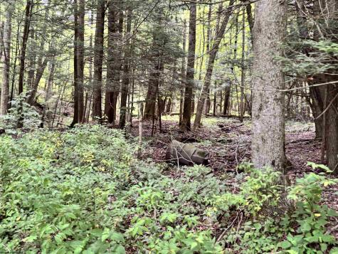 469 Karlan Road Pickens WV 26230