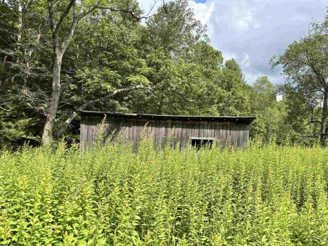 469 Karlan Road Pickens WV 26230