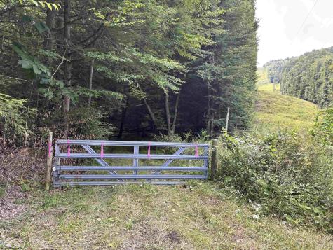469 Karlan Road Pickens WV 26230