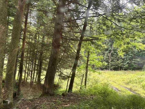 469 Karlan Road Pickens WV 26230