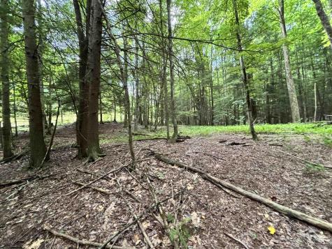 469 Karlan Road Pickens WV 26230