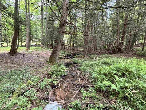 469 Karlan Road Pickens WV 26230