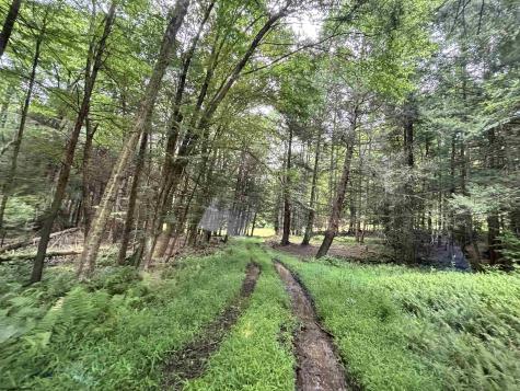 469 Karlan Road Pickens WV 26230