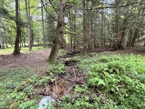 469 Karlan Road Pickens WV 26230