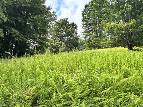 469 Karlan Road Pickens WV 26230