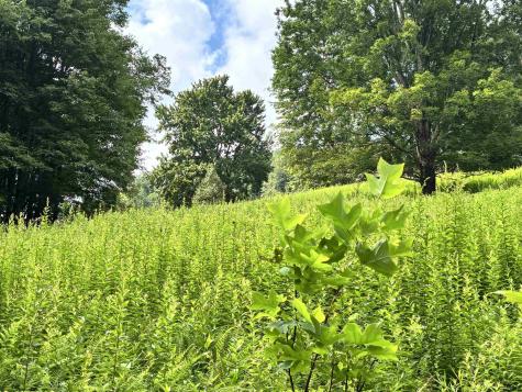 469 Karlan Road Pickens WV 26230