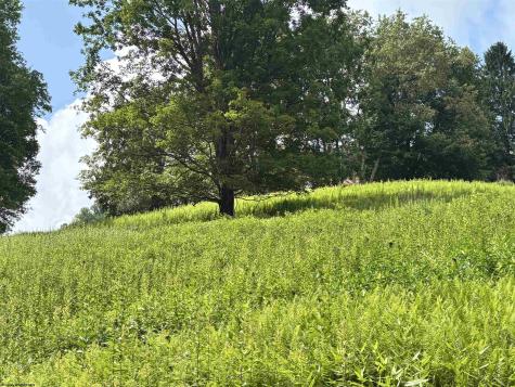 469 Karlan Road Pickens WV 26230