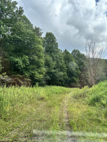 469 Karlan Road Pickens WV 26230