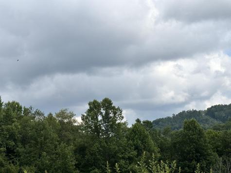 469 Karlan Road Pickens WV 26230