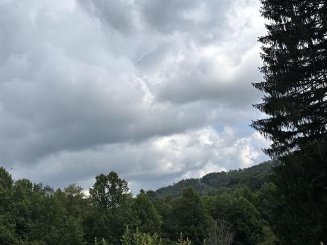 469 Karlan Road Pickens WV 26230