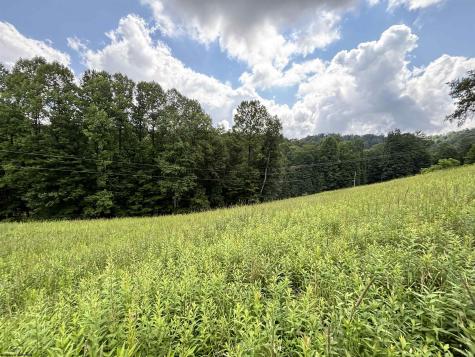 469 Karlan Road Pickens WV 26230