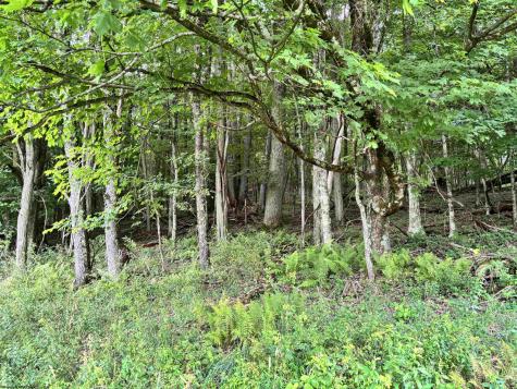 469 Karlan Road Pickens WV 26230