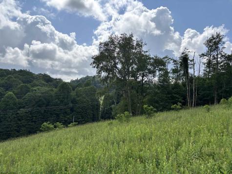 469 Karlan Road Pickens WV 26230