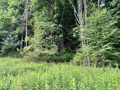 469 Karlan Road Pickens WV 26230