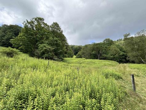 469 Karlan Road Pickens WV 26230