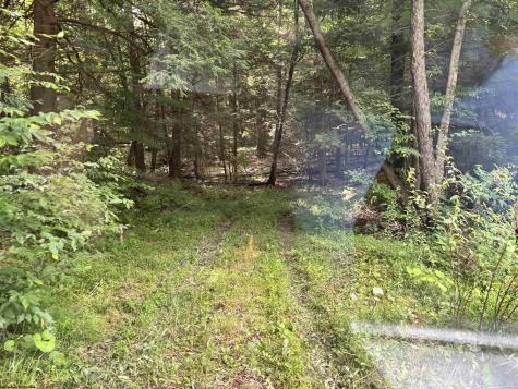 469 Karlan Road Pickens WV 26230