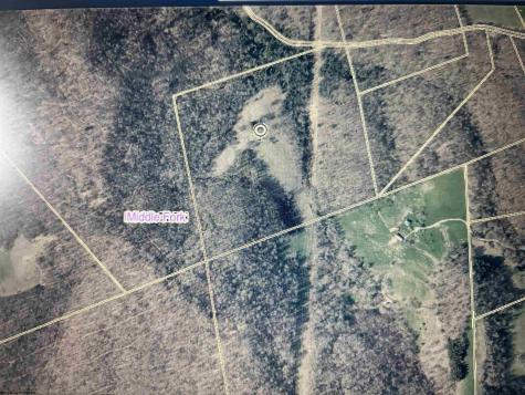 469 Karlan Road Pickens WV 26230